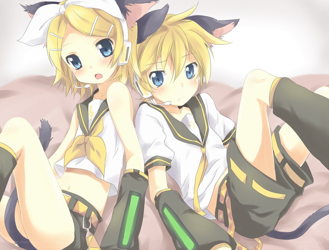 Vocaloid twins in cat ears