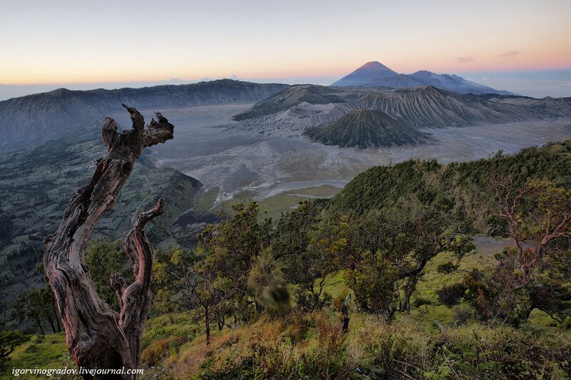 Volcanic Landscape at Dawn — Green