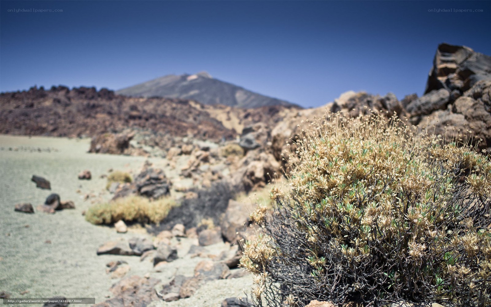 Volcanic landscape with mountain