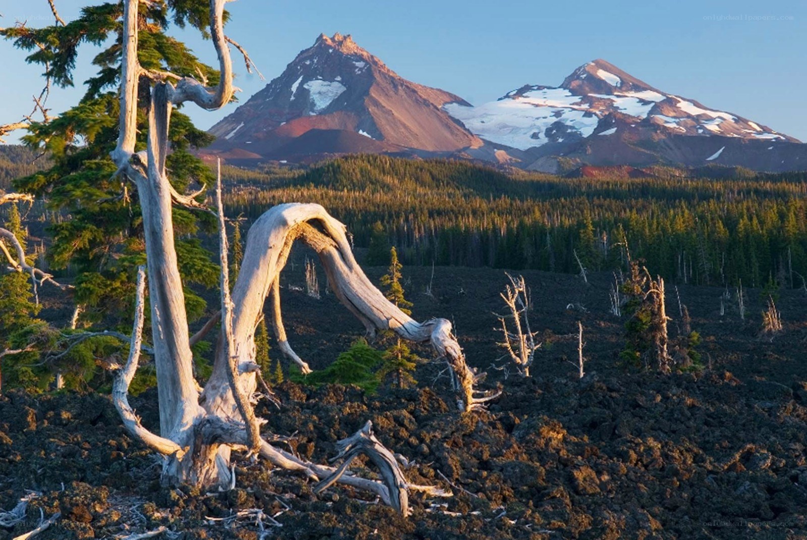 Volcanic landscape with mountains