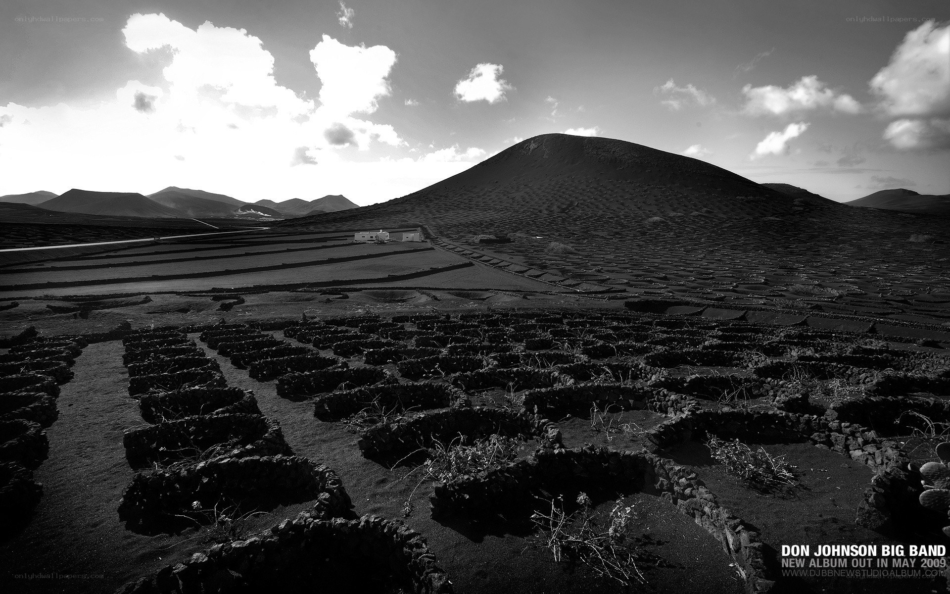 Volcanic landscape with vineyards