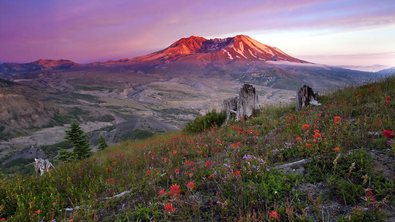 Volcanic Mountain at Sunrise — Purple