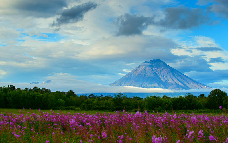 Volcanic Mountain Landscape — Purple