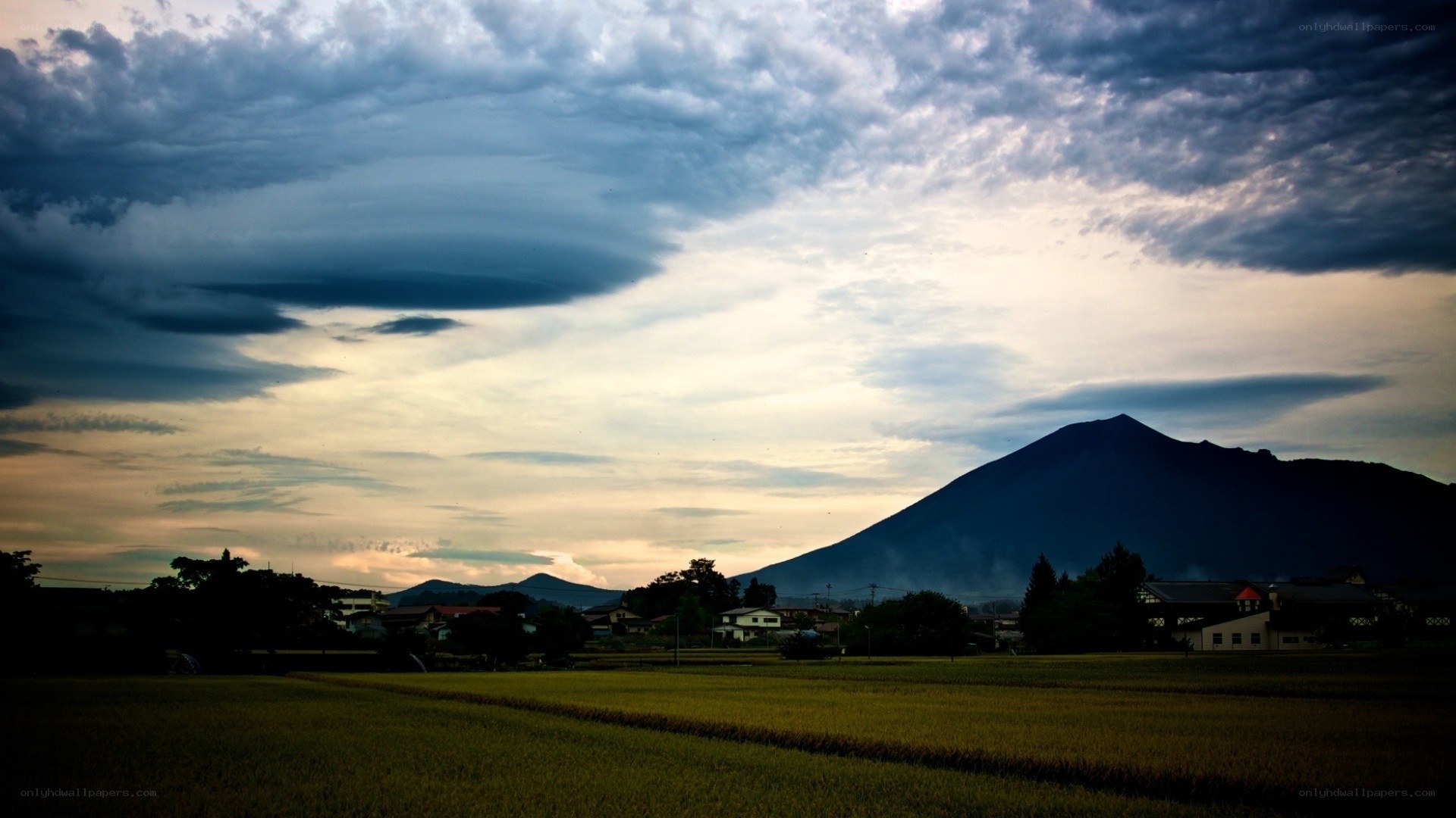 Volcano at dusk over rice fields