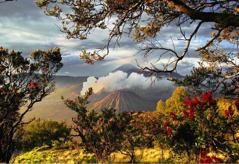 Volcano Erupting Smoke — Green