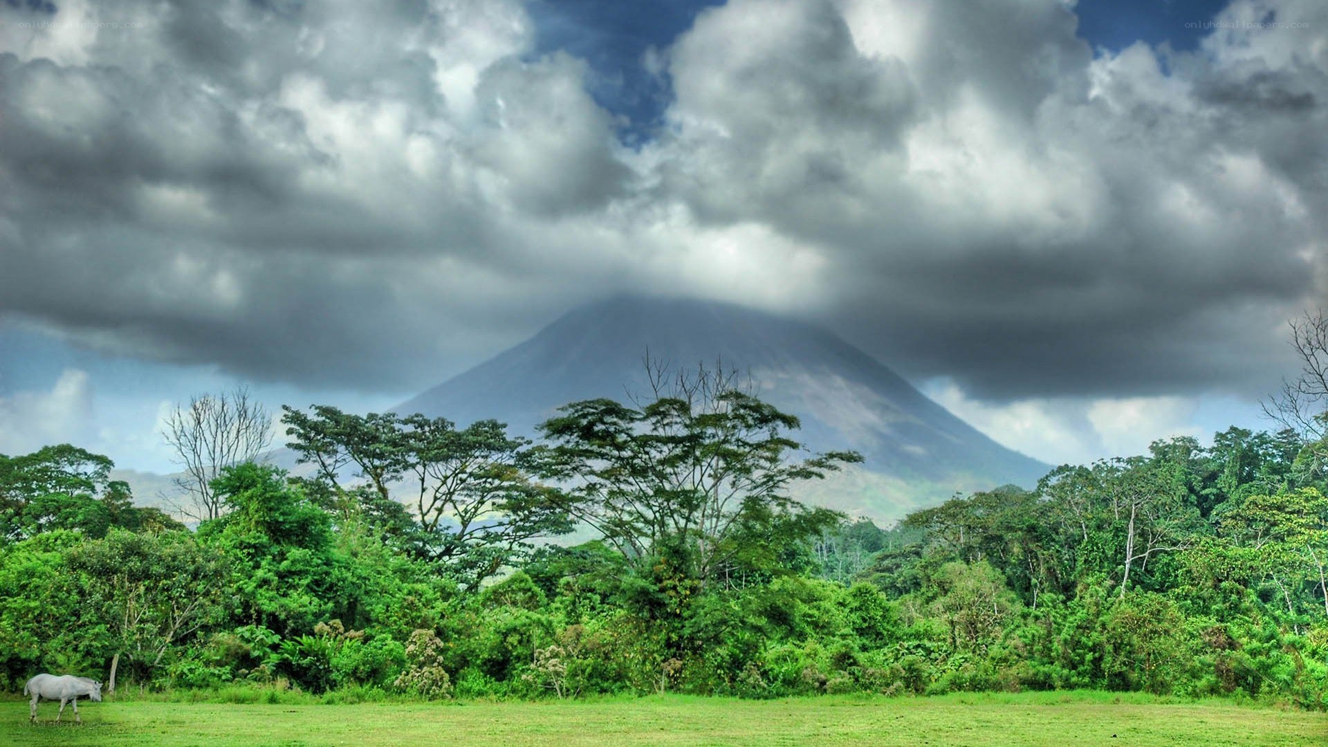 Volcano in lush green landscape