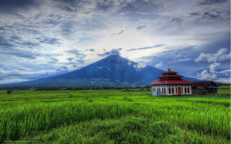 Volcano over rice fields