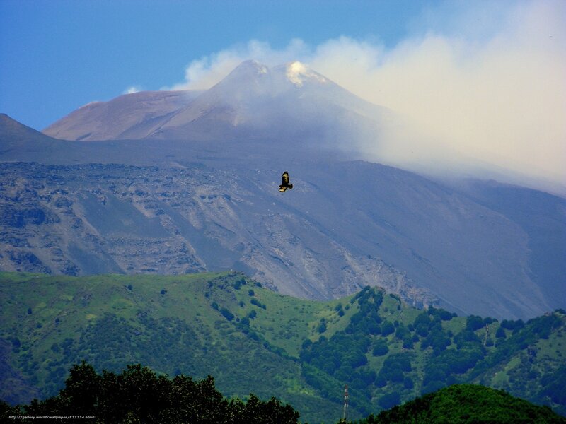 Volcano with bird in flight