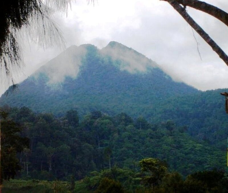 Volcano with Forest