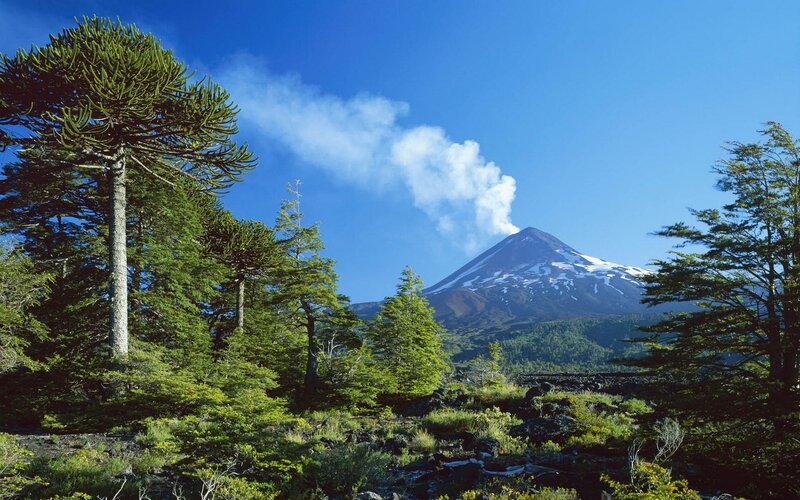 Volcano with smoke and trees