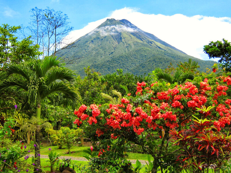 Volcano with Tropical Plants