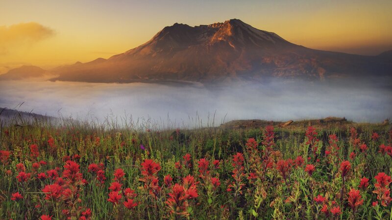 Volcano with wildflowers at sunrise