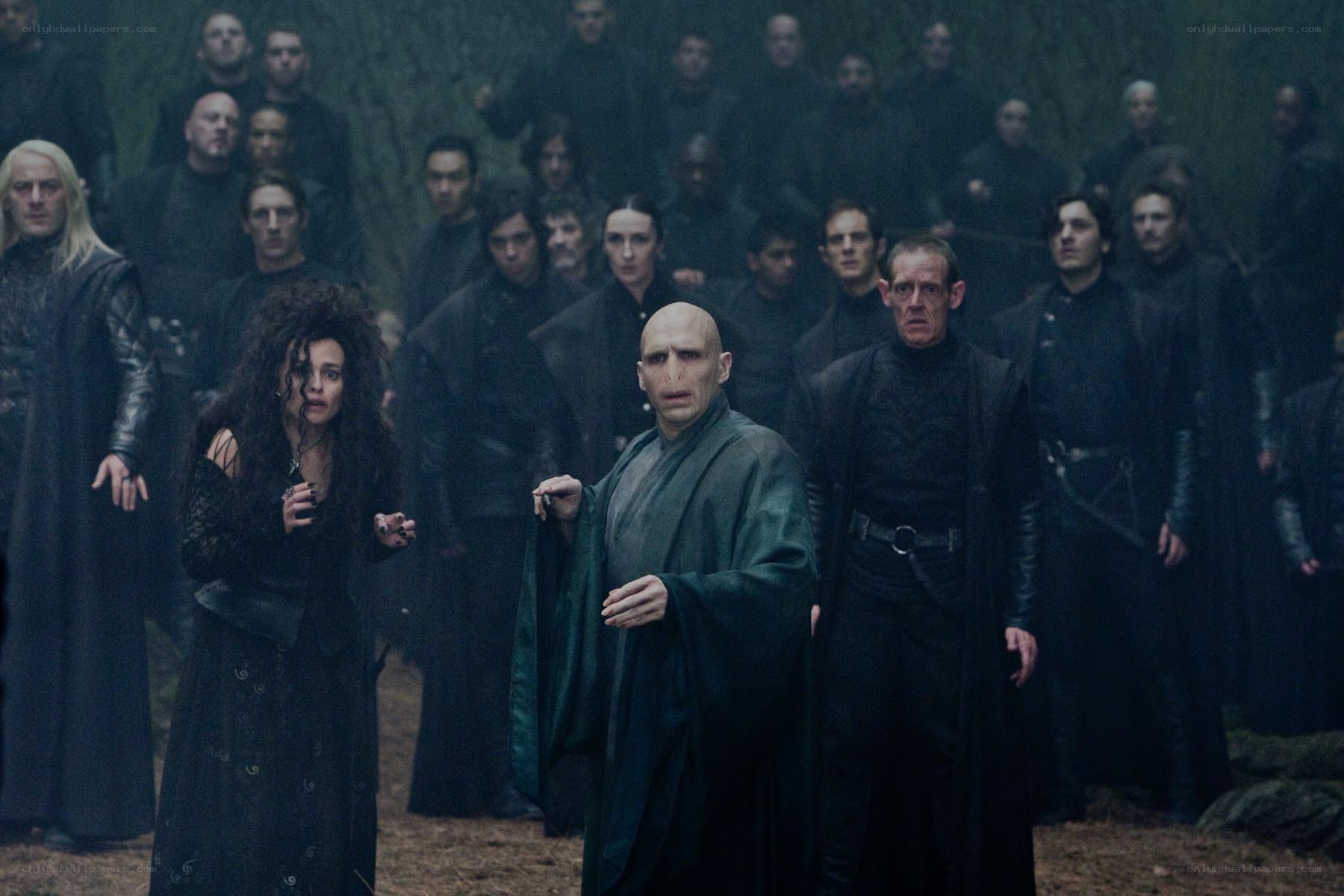 Voldemort and Death Eaters