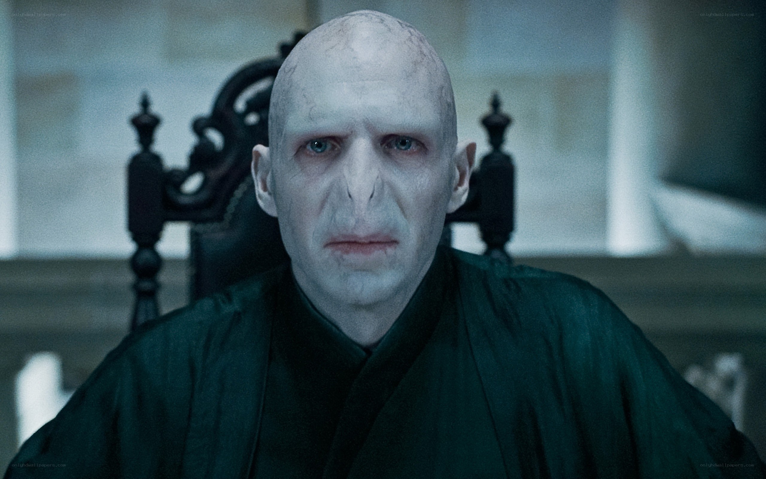 Voldemort in a dark hall