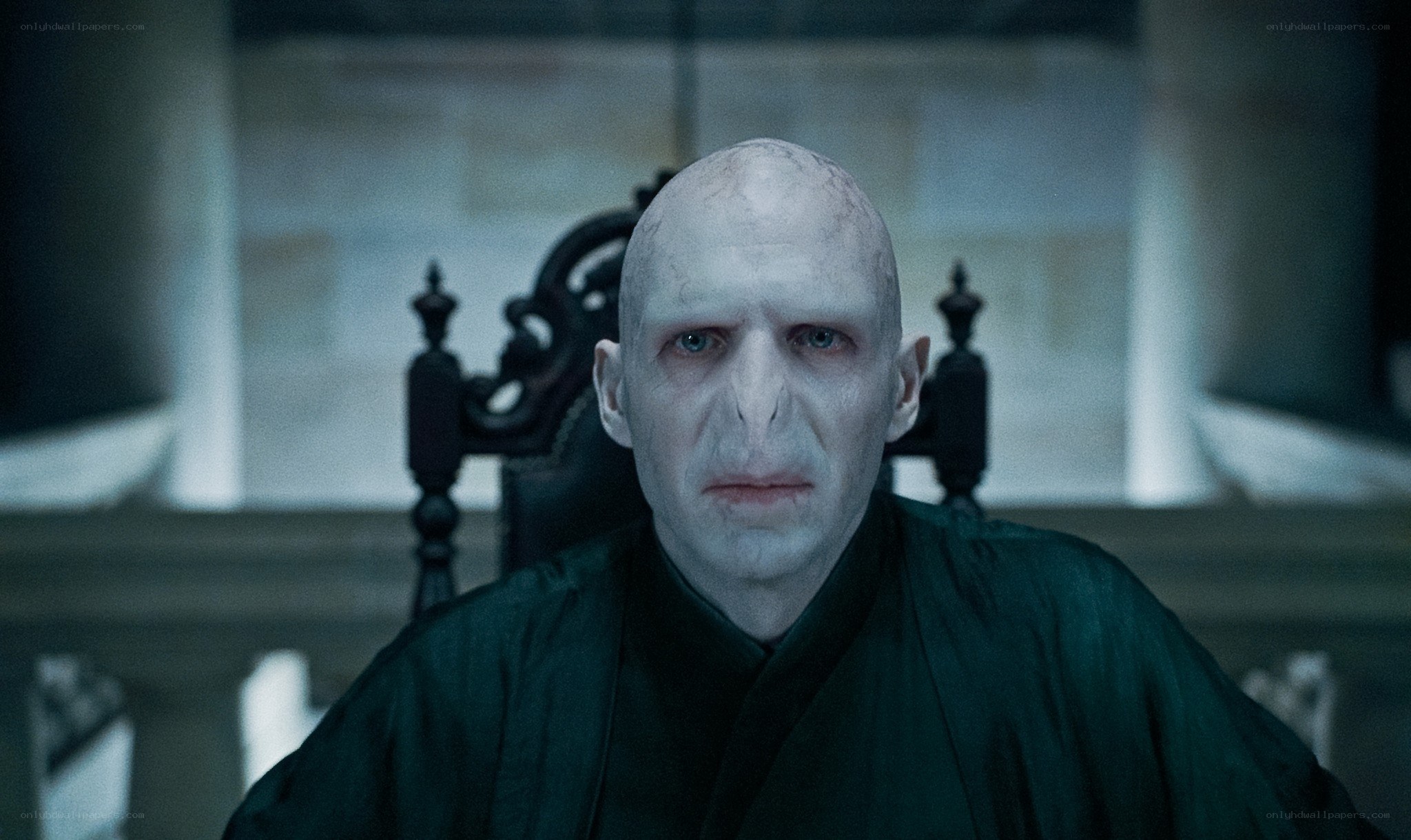 Voldemort in a dark hall