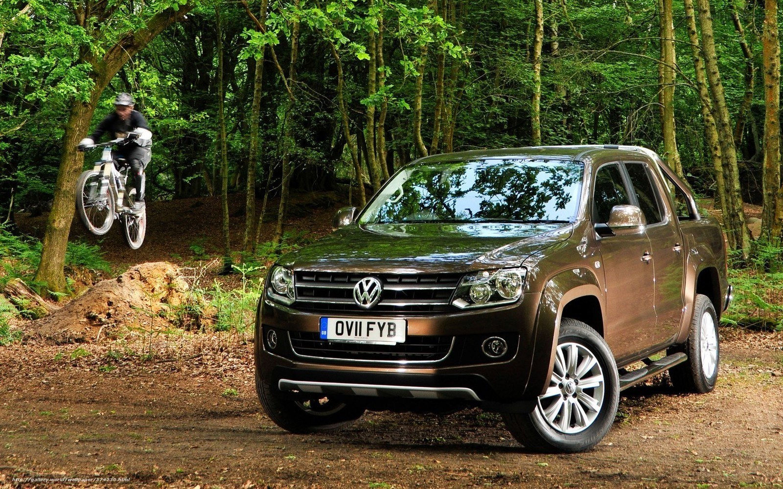 Volkswagen Amarok in forest