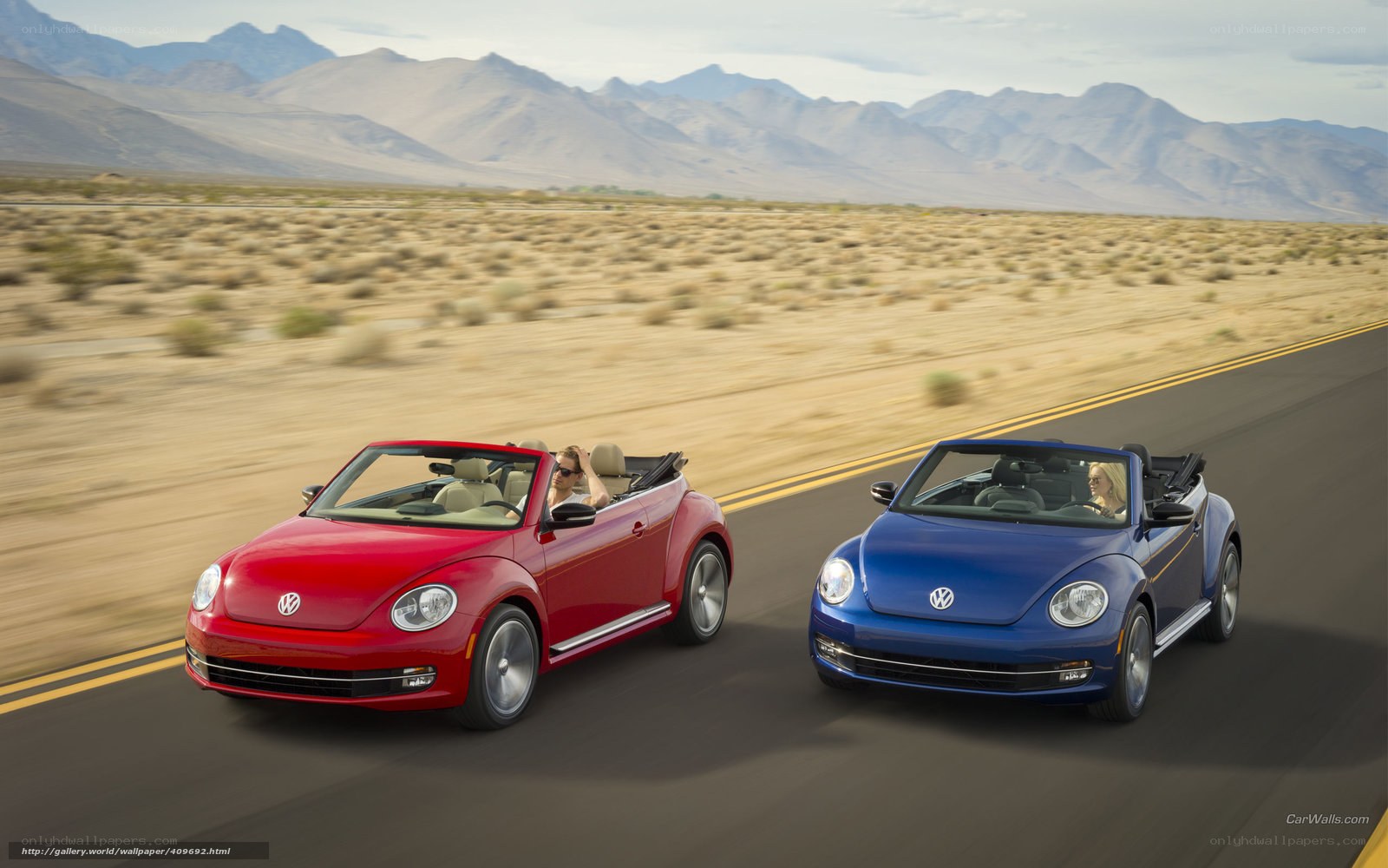 Volkswagen Beetles on desert road