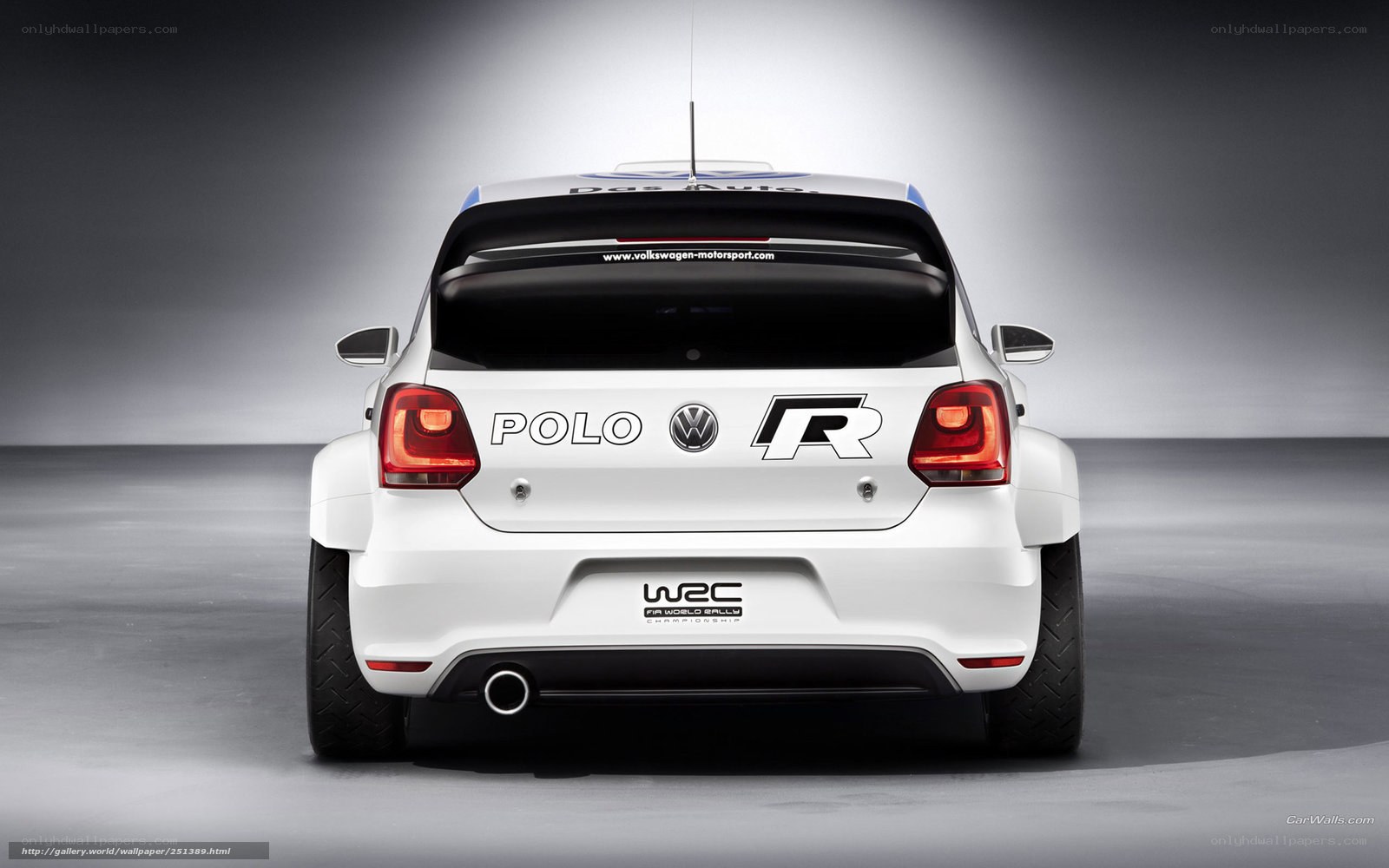 Volkswagen Polo R WRC rear view