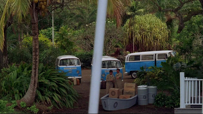 Volkswagen vans in tropical setting