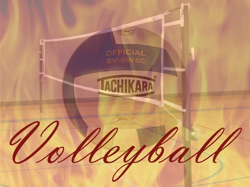 Volleyball Net and Ball