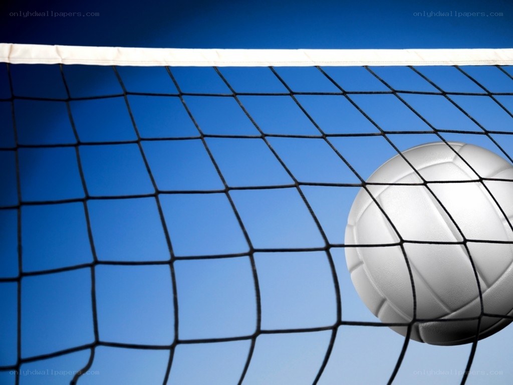 Volleyball net with ball