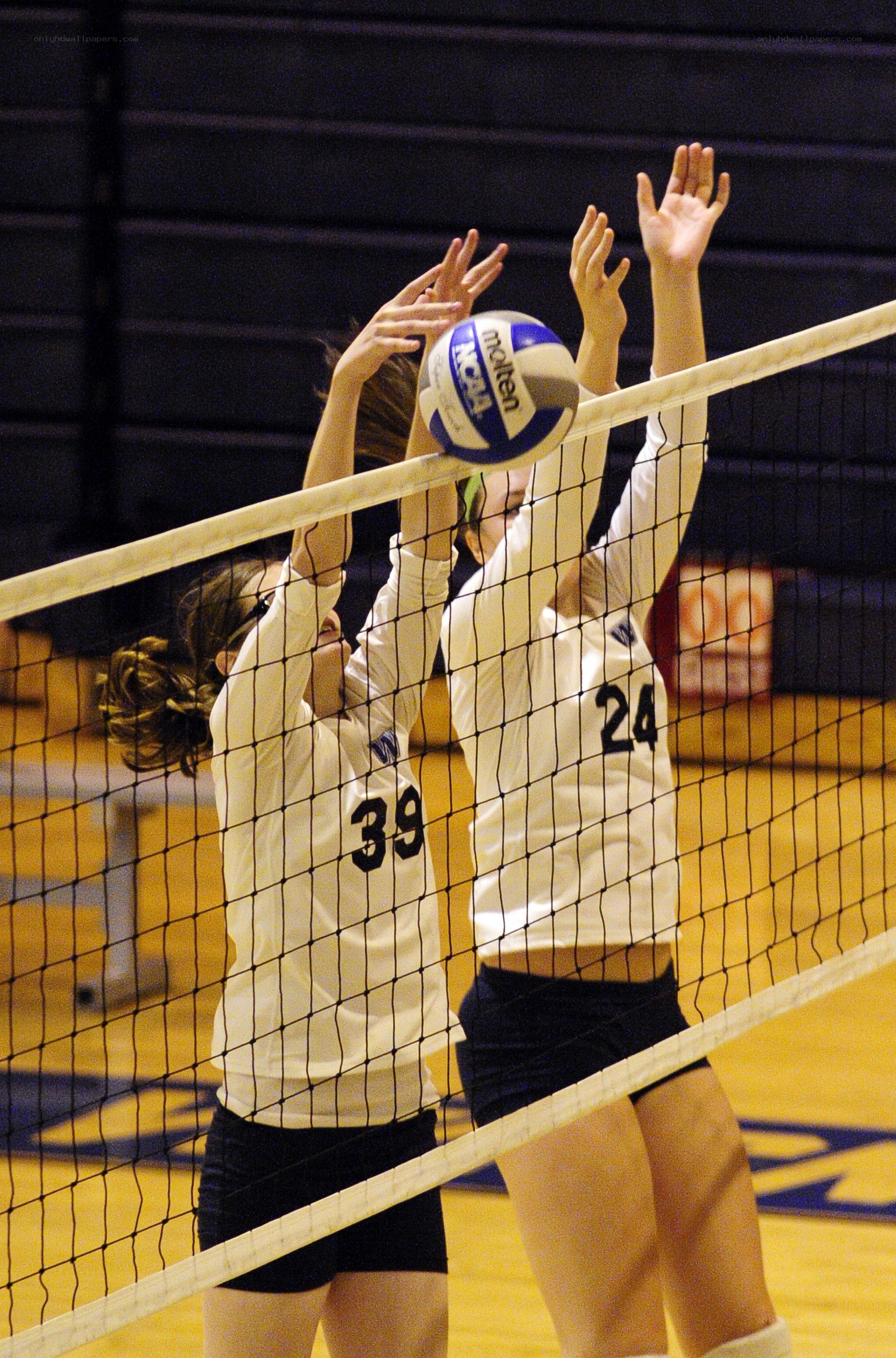 Volleyball players at net