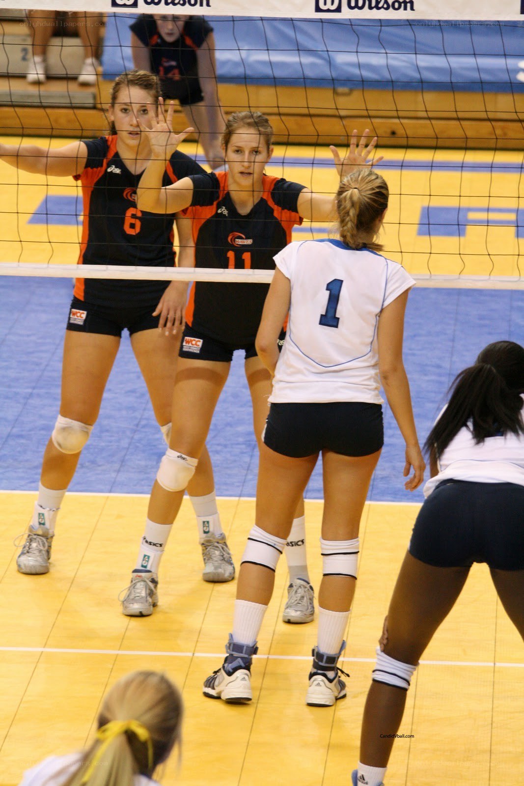 Volleyball players at net