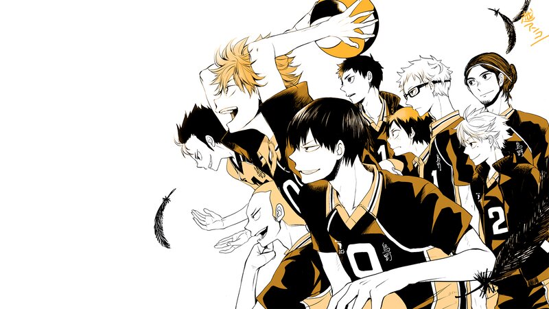 Volleyball Team Members — Black, Dynamic, Anime