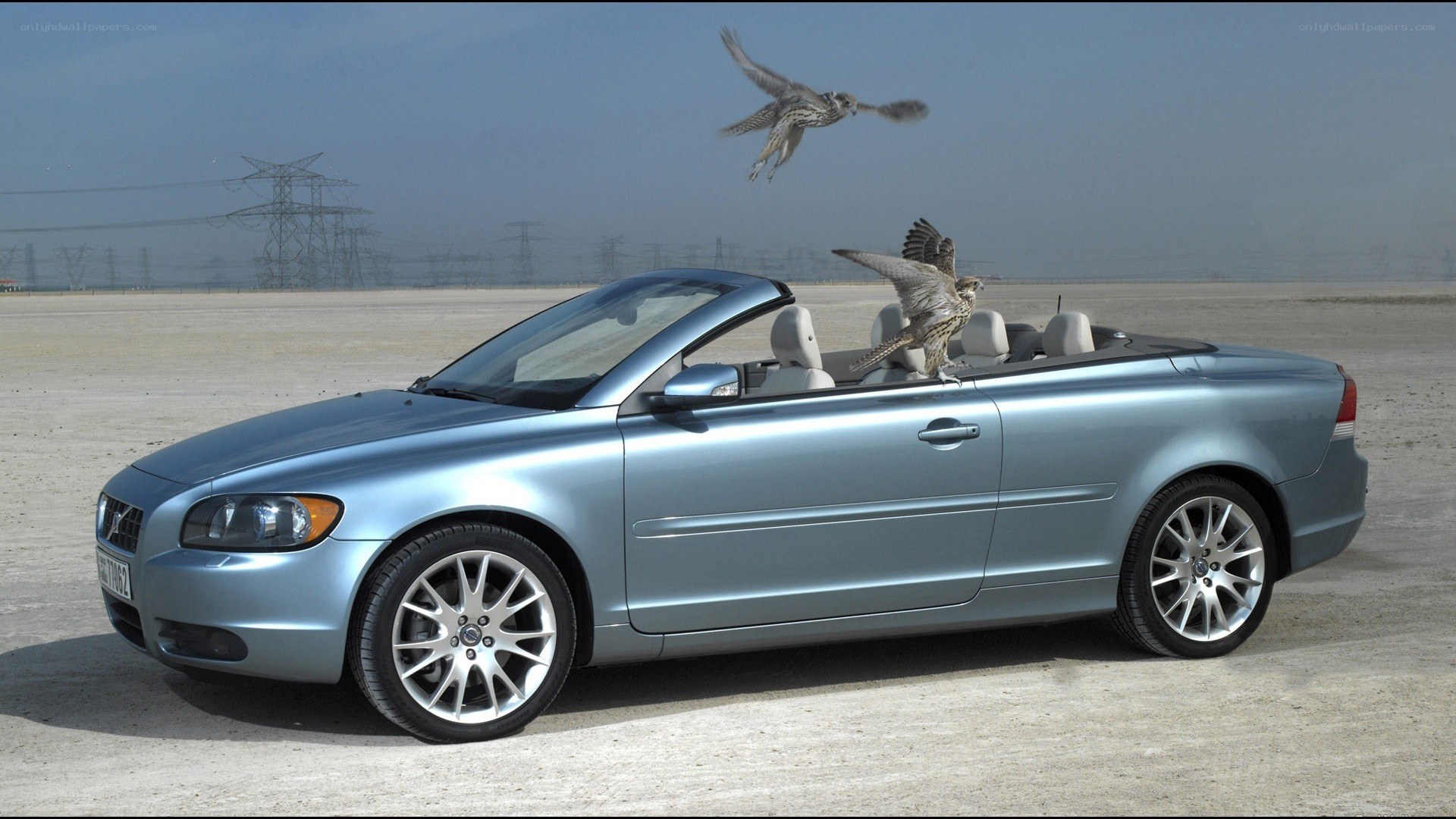 Volvo C70 convertible with birds