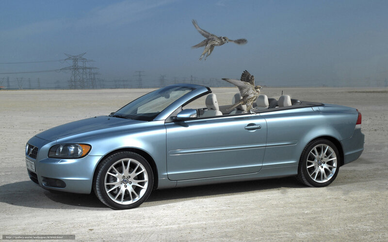 Volvo C70 convertible with birds
