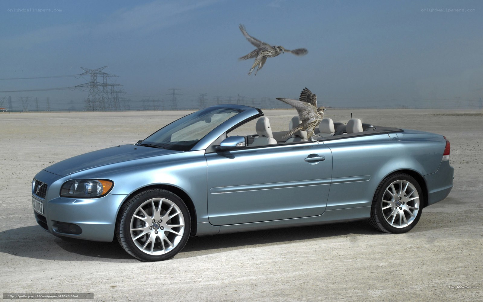 Volvo C70 convertible with birds