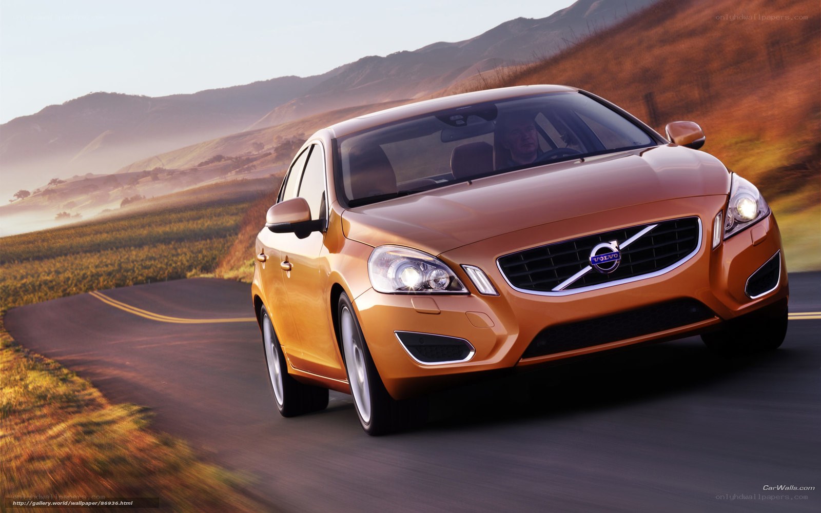 Volvo driving on a scenic road