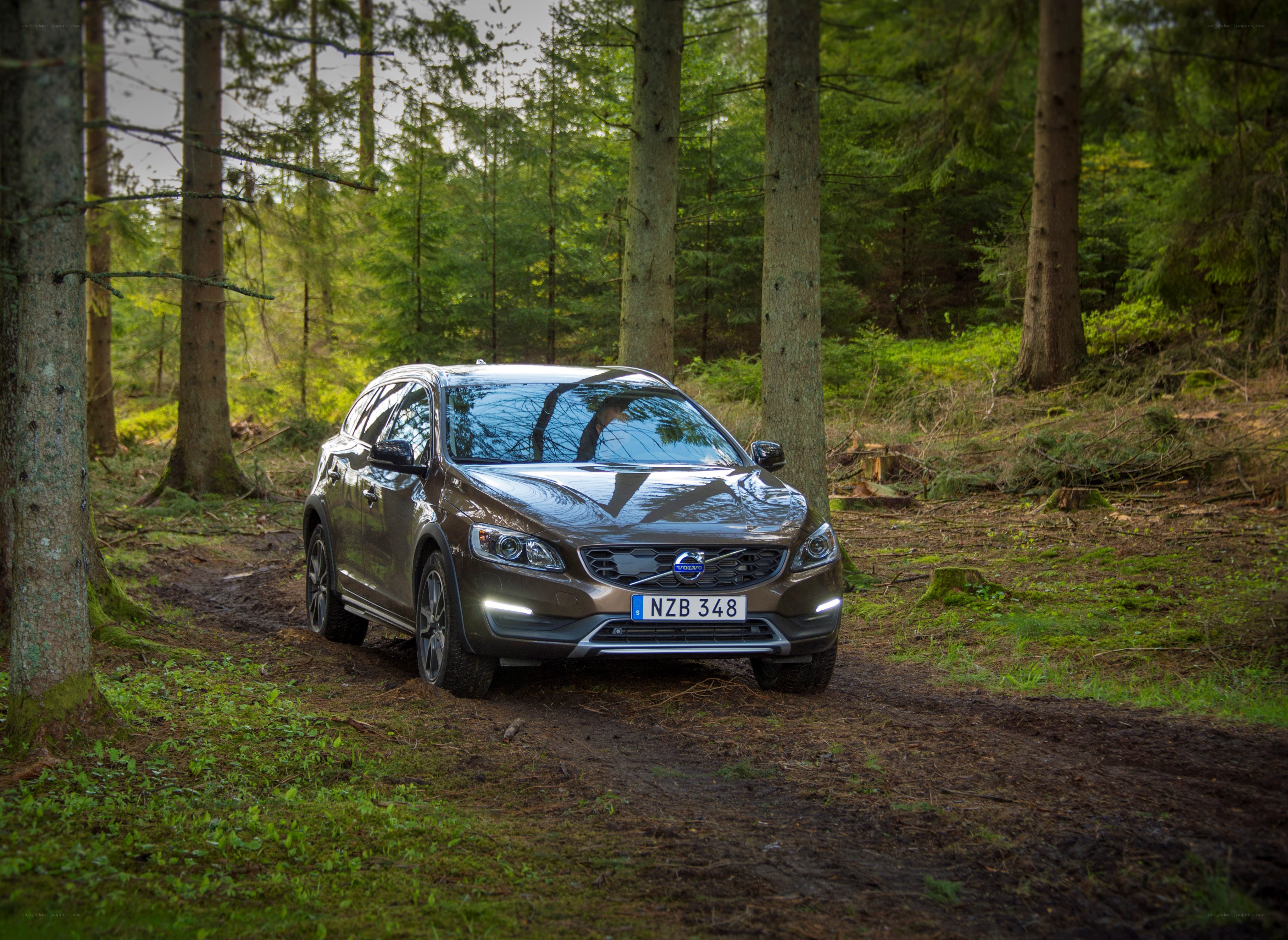 Volvo V60 Cross Country in forest