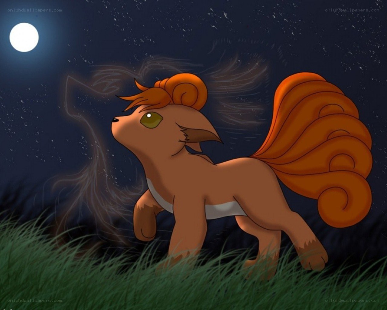 Vulpix under the moonlight