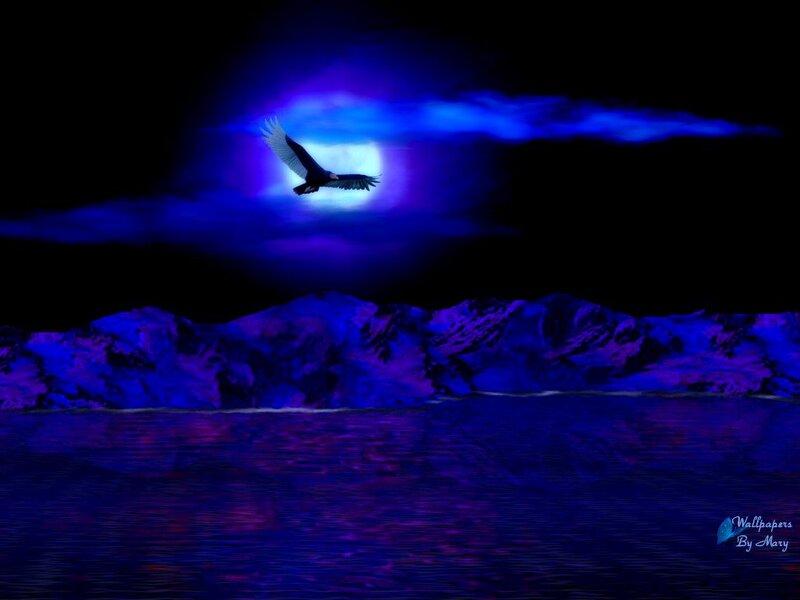 Vulture Flying over Water — Blue