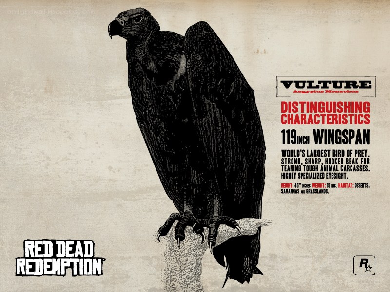 Vulture in Red Dead Redemption