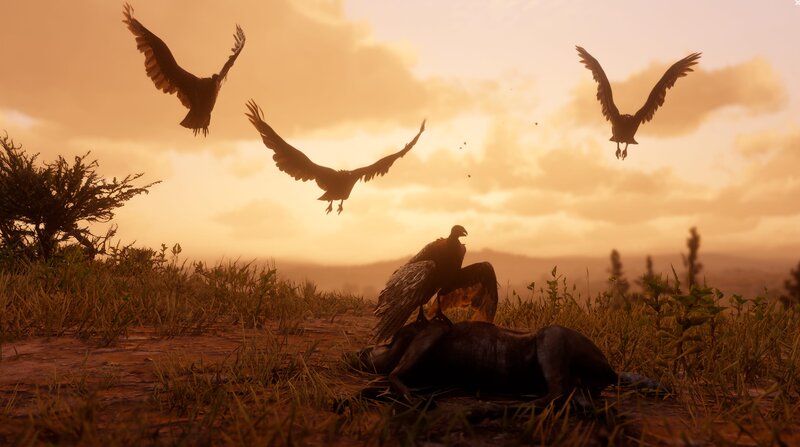 Vultures Feeding on Carcass — Orange