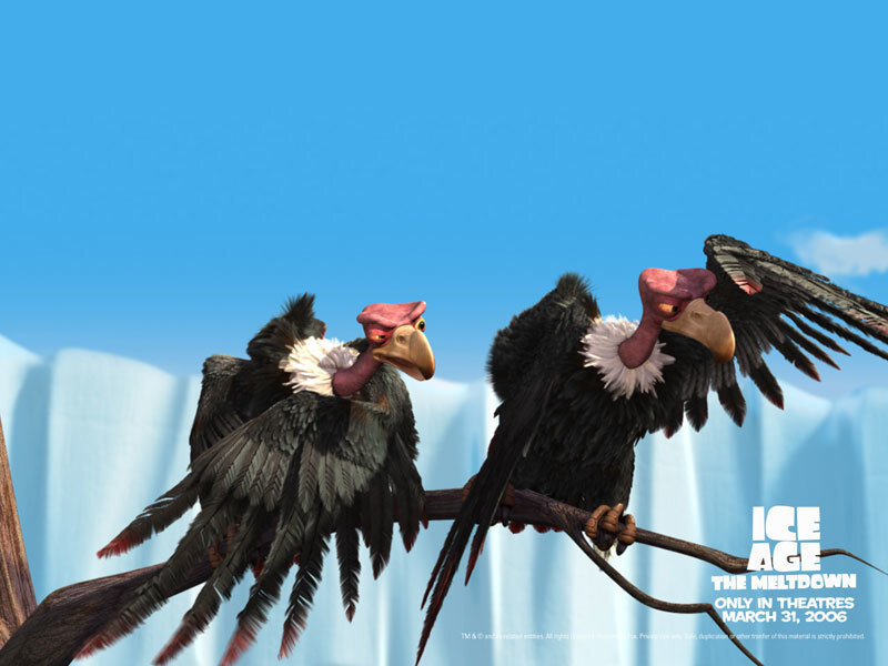 Vultures on a branch