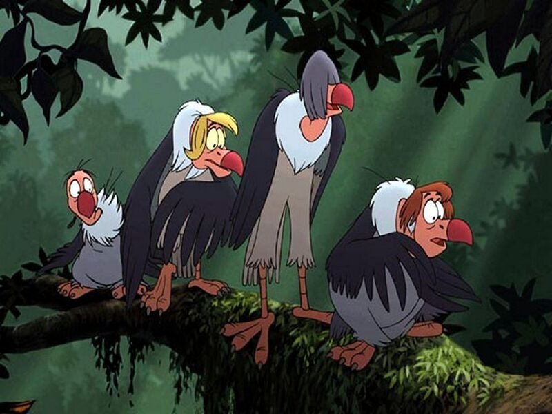 vultures on a tree branch