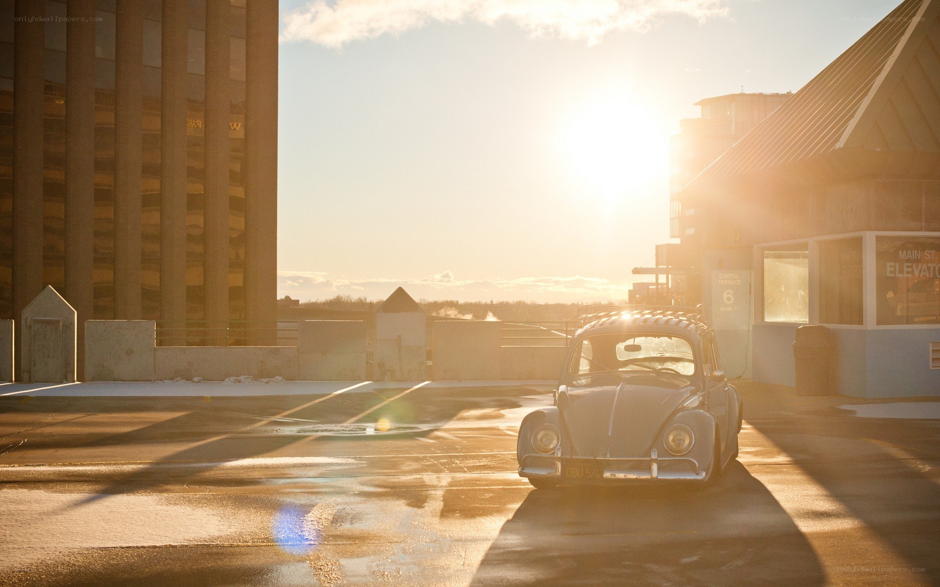 VW Beetle at sunset on rooftop