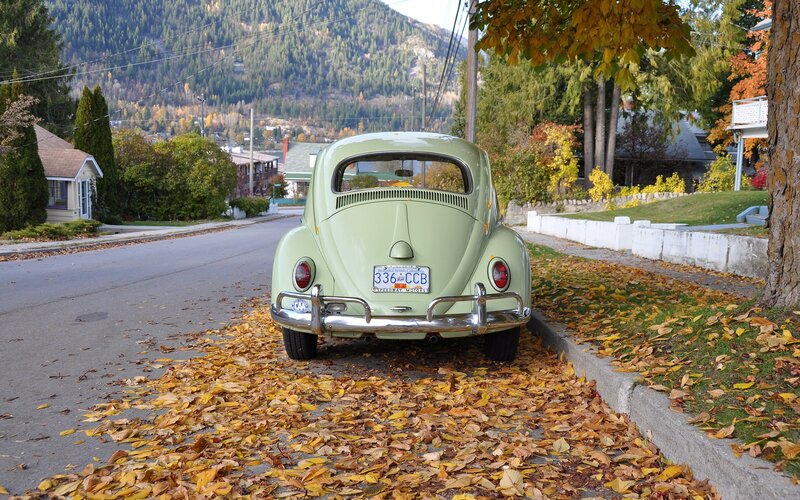 VW Beetle in autumn leaves