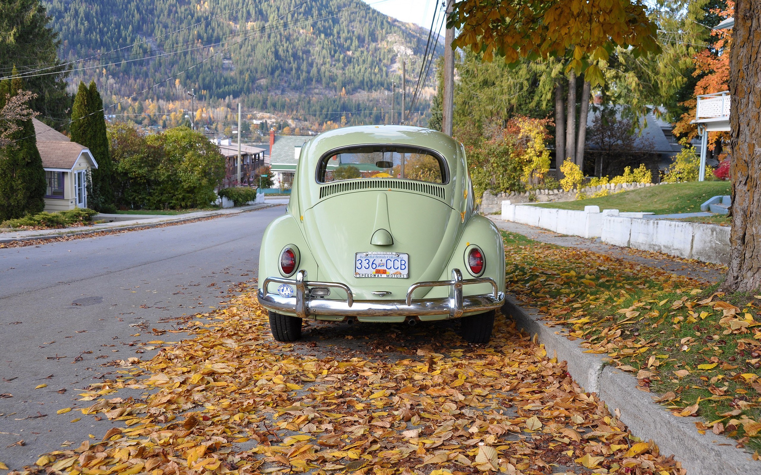 VW Beetle in autumn leaves