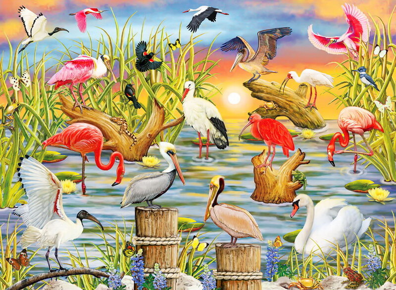 Wading Birds in Wetland