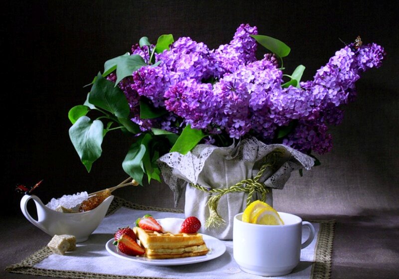 Waffles with Strawberries — Purple, Dramatic, Photograph