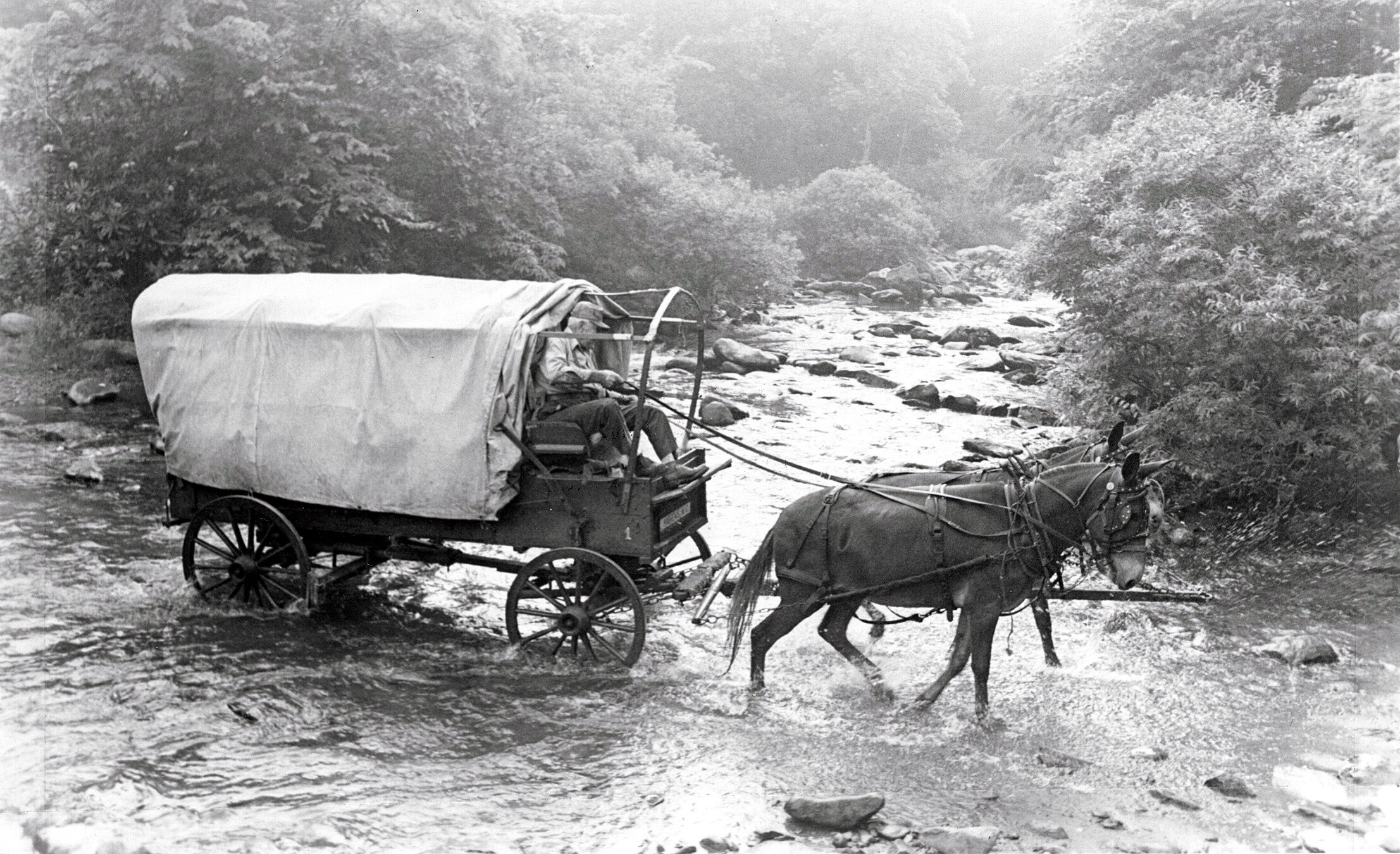 Wagon crossing a river
