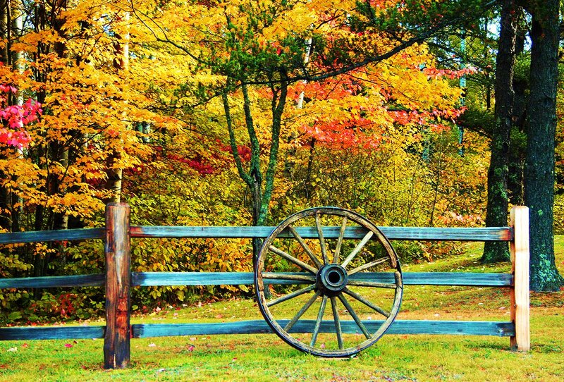 Wagon Wheel on Fence