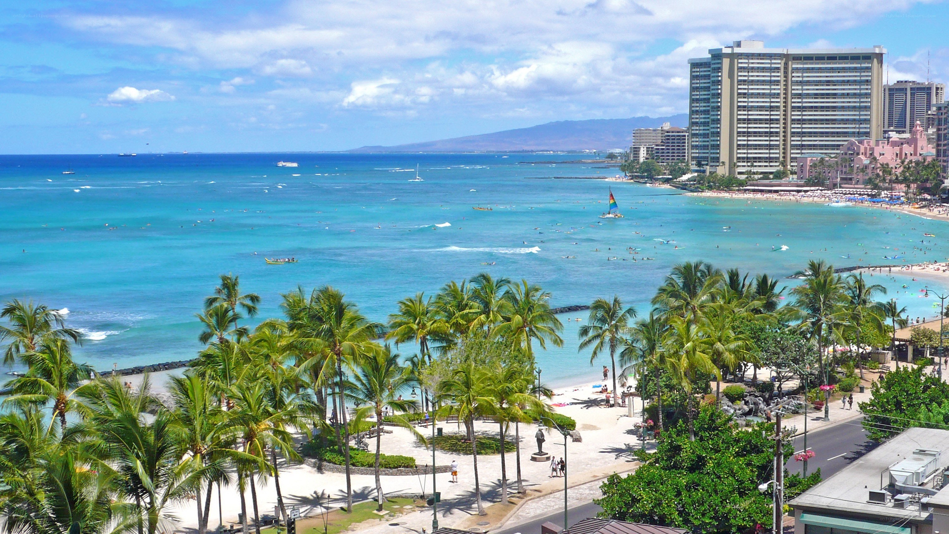 Waikiki Beach with palm trees