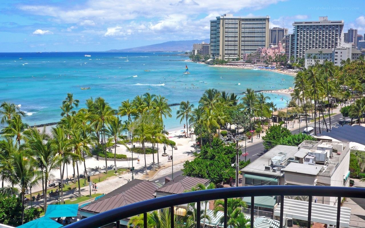 Waikiki Beach with palm trees