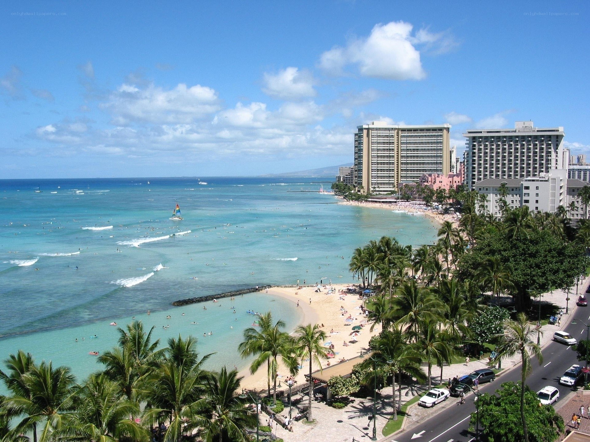 Waikiki Beach with palm trees