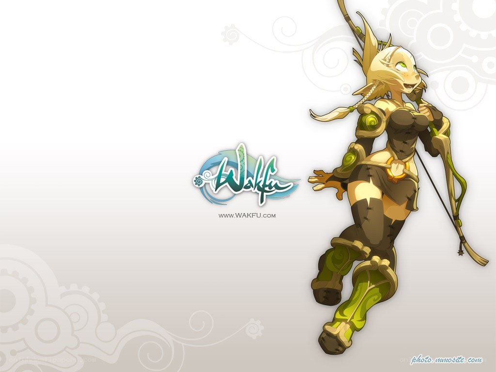 Wakfu character artwork